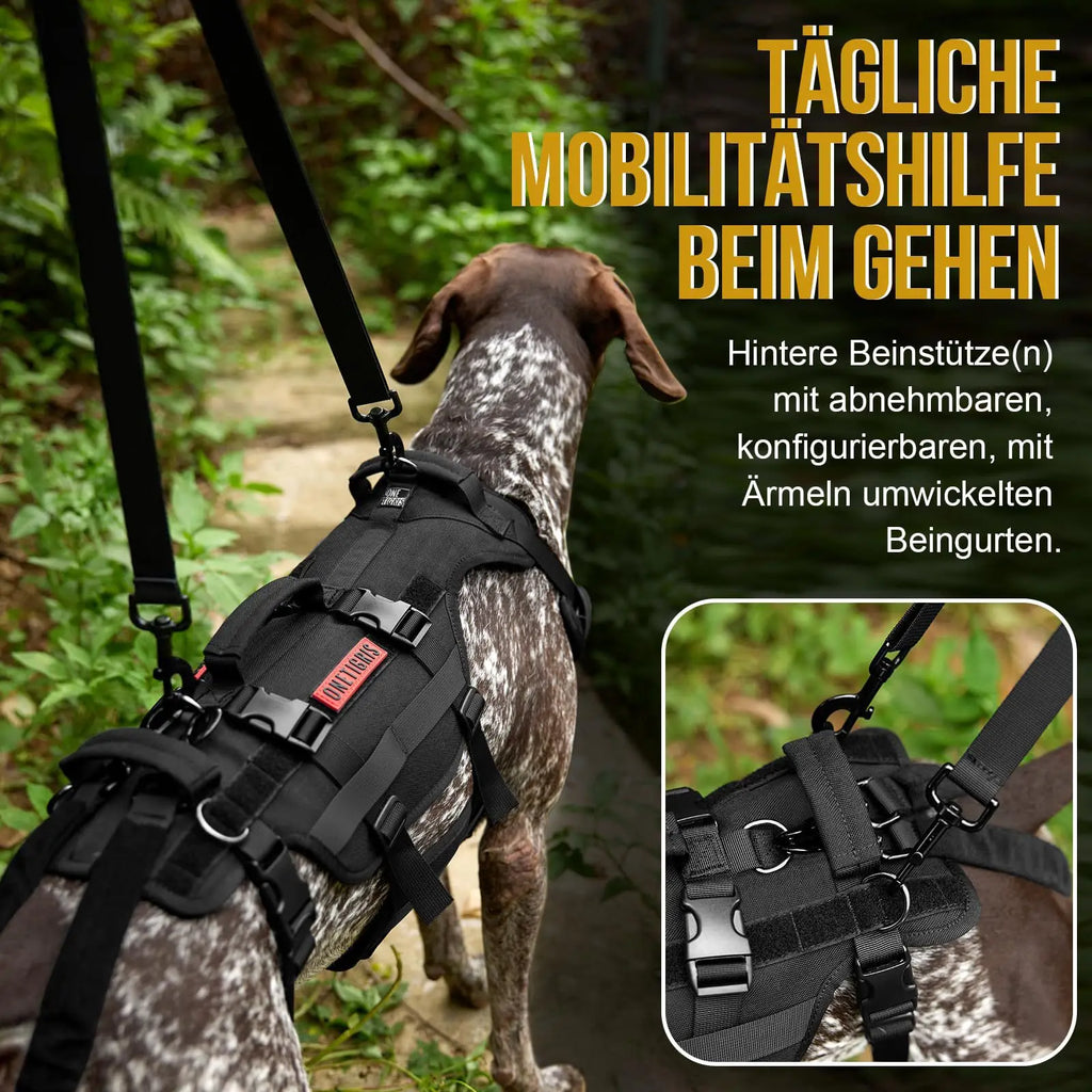Outdoor Dog Vest Dogs Harness Tactical Train Coat Medium Large Dogs Vests Chest Strap Bungee Leash Lead Training Running