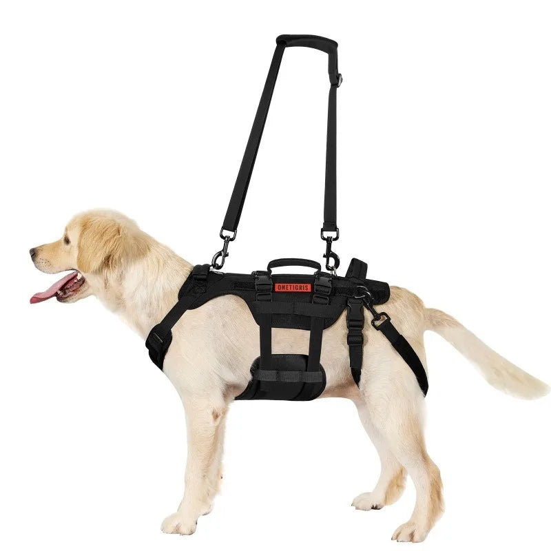 Outdoor Dog Vest Dogs Harness Tactical Train Coat Medium Large Dogs Vests Chest Strap Bungee Leash Lead Training Running