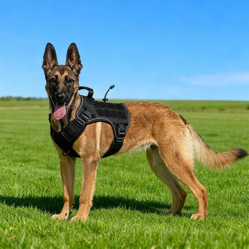 Outdoor Vest for Dogs Splash Protection Pet Adjustable Chest Harness with Handle for Medium and Large Dog Shepherds Labrador