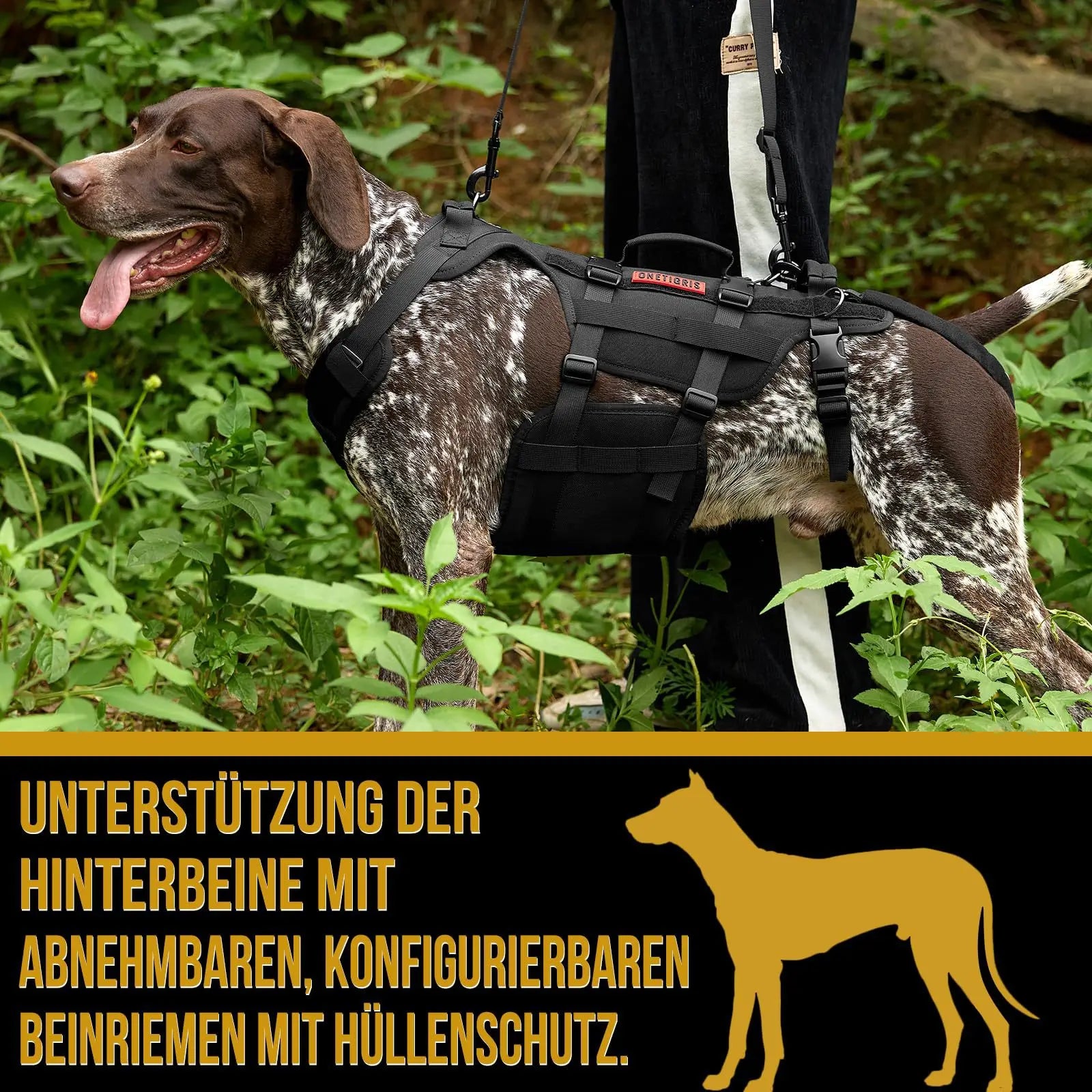 Outdoor Dog Vest Dogs Harness Tactical Train Coat Medium Large Dogs Vests Chest Strap Bungee Leash Lead Training Running