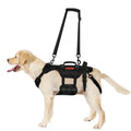 Outdoor Dog Vest Dogs Harness Tactical Train Coat Medium Large Dogs Vests Chest Strap Bungee Leash Lead Training Running